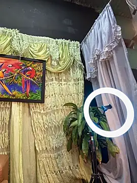 uma patna000 online show from February 4, 7:51 am