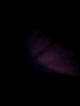 Snapshot of Sines21 chatting on June 12, 3:27 am Sines21 online show from June 12, 3:27 am