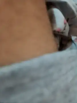 riggijaviersalas online show from November 14, 1:15 am