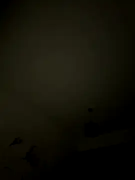 1Aleks13 online show from November 12, 1:39 am