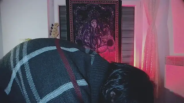 sademobeer online show from October 22, 2:56 am