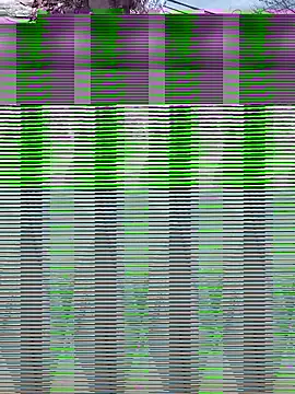 Snapshot of Alicbranca chatting on September 17, 4:41 pm Alicbranca online show from September 17, 4:41 pm