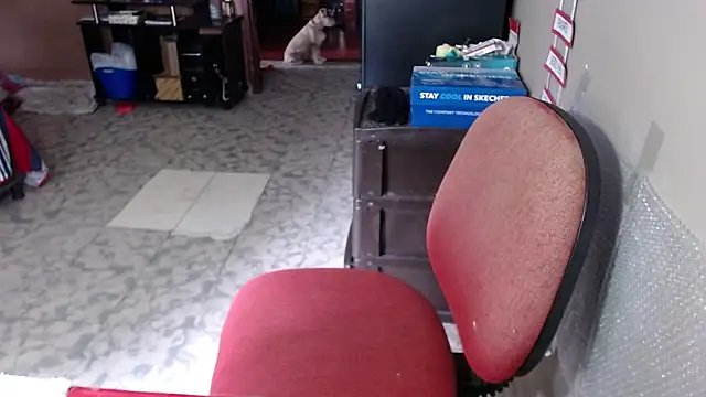 Barbiegomez online show from March 19, 4:11 pm