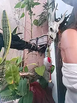 k lebannon online show from February 20, 8:36 pm