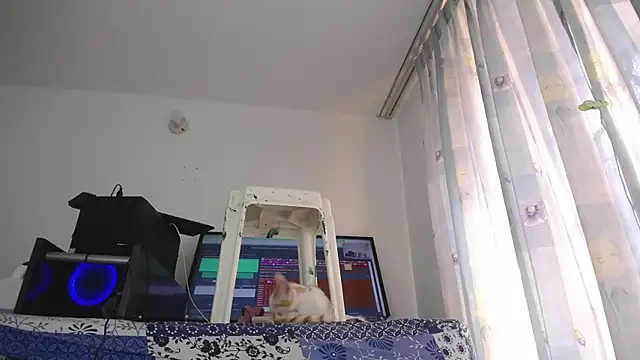 eolicasex online show from February 1, 7:44 pm