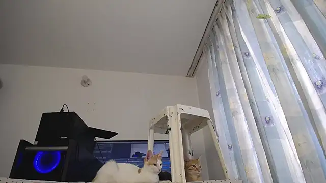 eolicasex online show from March 7, 4:00 pm