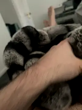 Snapshot of Furdale chatting on December 3, 11:33 am Furdale online show from December 3, 11:33 am