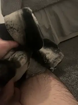 Snapshot of Furdale chatting on January 7, 5:20 pm Furdale online show from January 7, 5:20 pm