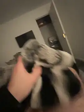 Snapshot of Furdale chatting on January 17, 5:19 pm Furdale online show from January 17, 5:19 pm