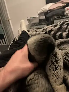 Snapshot of Furdale chatting on February 11, 6:11 pm Furdale online show from February 11, 6:11 pm