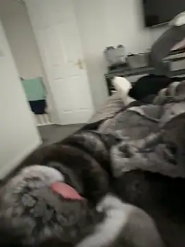 Snapshot of Furdale chatting on September 22, 4:20 pm Furdale online show from September 22, 4:20 pm