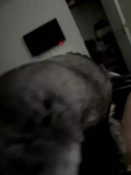 Snapshot of Furdale chatting on October 2, 3:30 pm Furdale online show from October 2, 3:30 pm