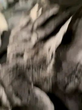 Snapshot of Furdale chatting on October 31, 7:04 pm Furdale online show from October 31, 7:04 pm