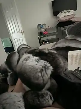 Snapshot of Furdale chatting on November 10, 2:49 pm Furdale online show from November 10, 2:49 pm