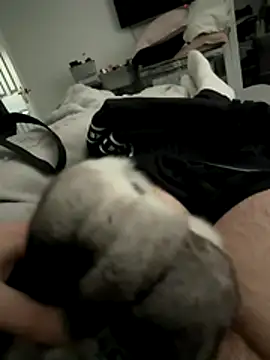 Snapshot of Furdale chatting on December 16, 3:06 pm Furdale online show from December 16, 3:06 pm