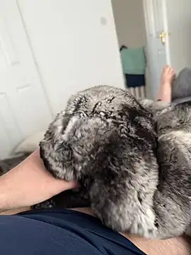 Furdale online show from April 27, 12:03 pm