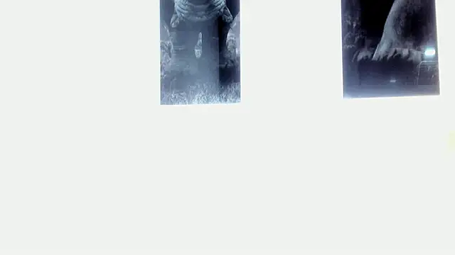 Snapshot of AlexRivera6 chatting on March 17, 11:43 pm AlexRivera6 online show from March 17, 11:43 pm