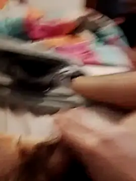 jon763 online show from February 19, 9:16 am