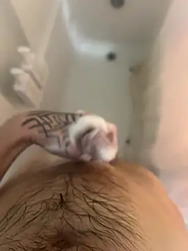 ThatTattooedGuy online show from December 1, 8:52 am