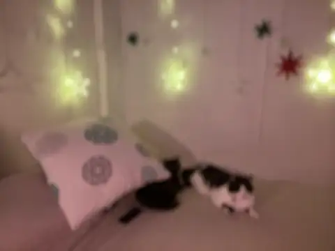 Snapshot of Im_sophiie chatting on December 19, 8:45 am Im sophiie online show from December 19, 8:45 am