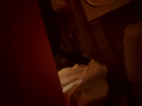 Snapshot of Dannadcz chatting on March 24, 8:25 pm Dannadcz online show from March 24, 8:25 pm