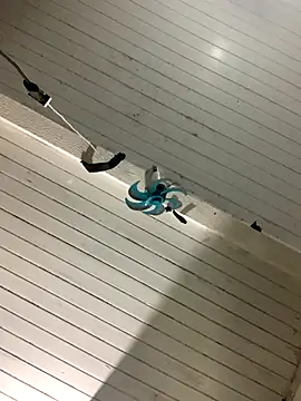 raphadoors19 online show from December 17, 4:07 am