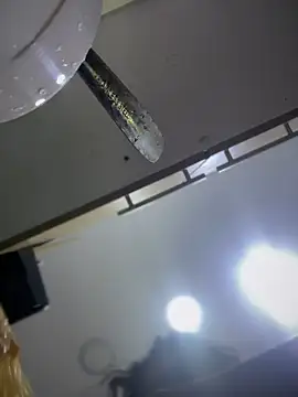 Tayra Siny online show from February 14, 12:47 pm