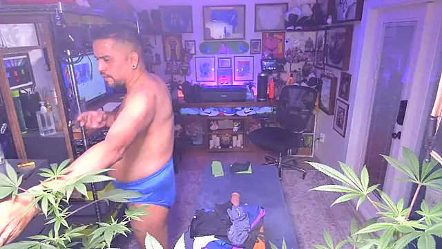 Briefs bud online show from December 16, 3:19 am