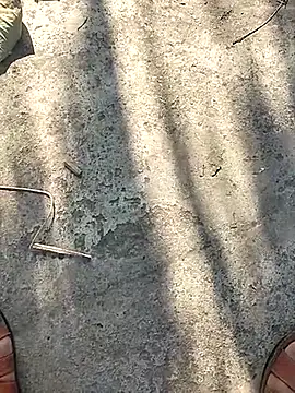 Pitercom online show from November 12, 9:10 am