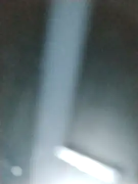 Yankeedave420 online show from February 6, 1:47 pm