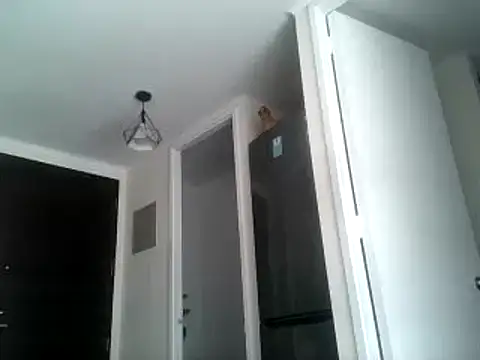 Snapshot of PenelopeSx chatting on December 29, 1:06 pm PenelopeSx online show from December 29, 1:06 pm