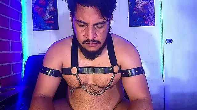 the master foal  online show from February 19, 7:50 am