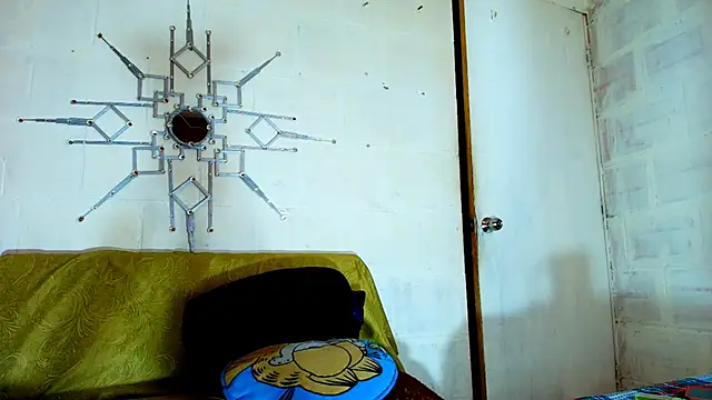 the master foal  online show from December 20, 1:29 pm