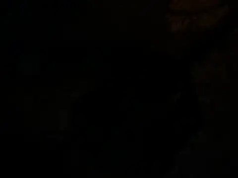 jck1m0t online show from December 19, 11:07 am