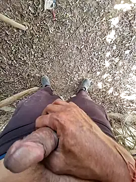 breejs online show from November 15, 6:55 am