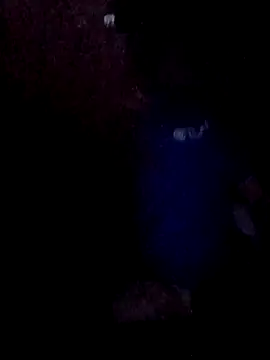 Wyleyxh online show from November 30, 8:07 am