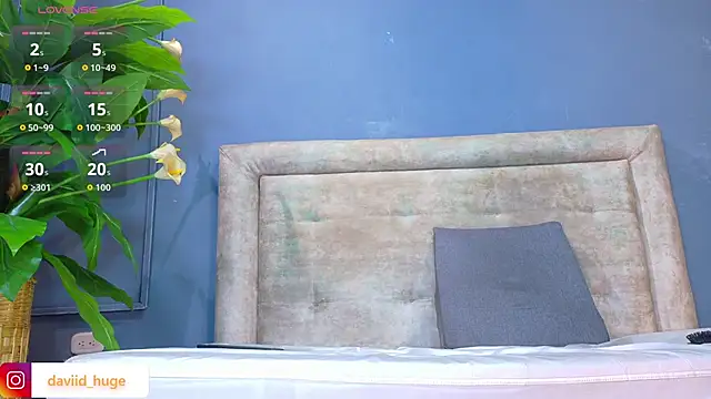 nicol snow online show from January 12, 1:49 pm