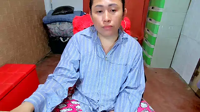 M e c e l online show from December 1, 11:37 am