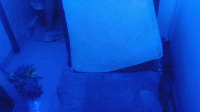 selenax2023 online show from February 2, 11:03 pm