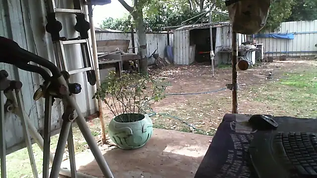 Snapshot of herbie010666 chatting on September 16, 3:29 am herbie010666 online show from September 16, 3:29 am