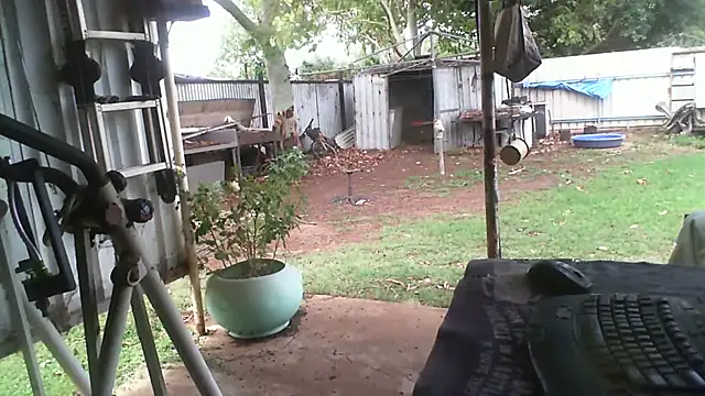 Snapshot of herbie010666 chatting on November 27, 4:25 am herbie010666 online show from November 27, 4:25 am