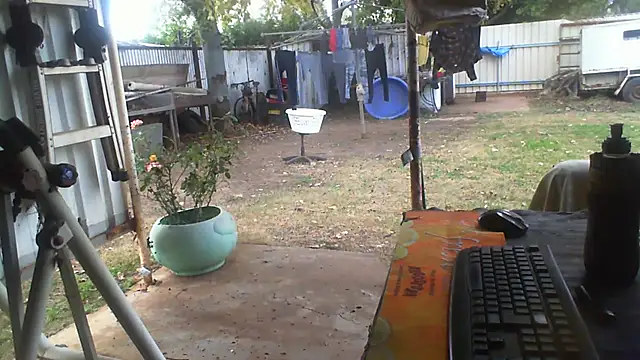 herbie010666 online show from August 3, 4:22 am