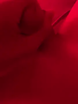 xsanchx online show from March 21, 11:01 am