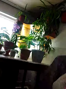 IrmaRose online show from November 9, 7:17 am