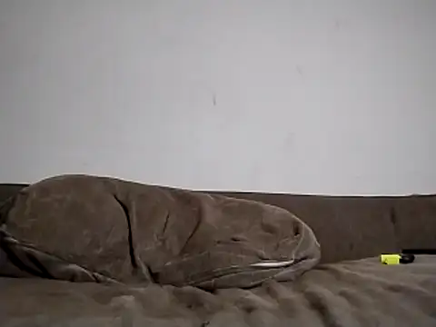 Snapshot of 247Srokin chatting on March 15, 8:31 am 247Srokin online show from March 15, 8:31 am