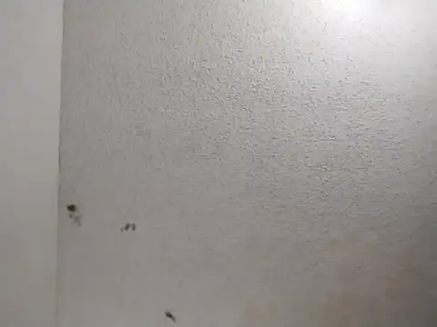 Snapshot of 247Srokin chatting on April 1, 11:00 am 247Srokin online show from April 1, 11:00 am