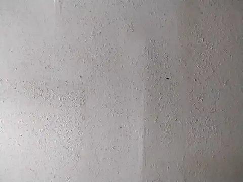 Snapshot of 247Srokin chatting on April 13, 7:14 am 247Srokin online show from April 13, 7:14 am