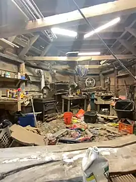 charactrzero online show from January 19, 3:18 am