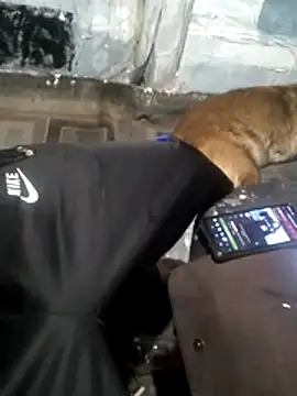 Wero4200 online show from March 13, 9:05 am