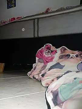 Snapshot of Van3orgasm4me chatting on February 13, 7:04 am Van3orgasm4me online show from February 13, 7:04 am